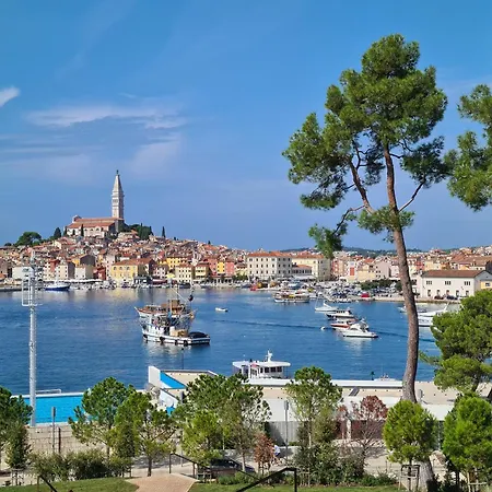 Rozi, A Charming Renovated Istrian House With Pool 別荘